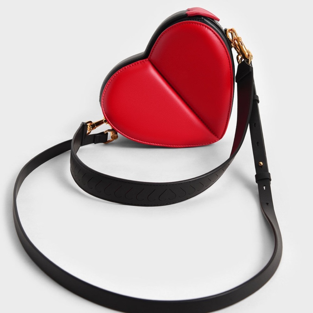Charles and Keith bag